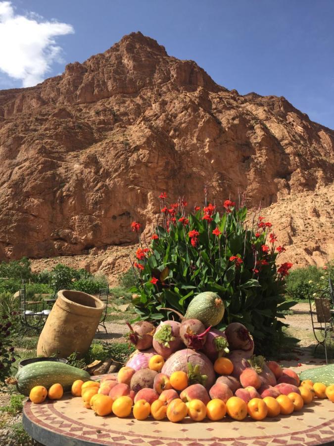 Auberge Le Festival Todra Gorge Ait Baha Exterior photo